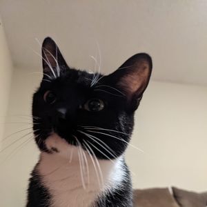 Meet your Posher, Crystal